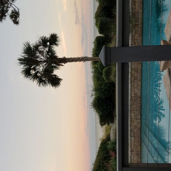 Meet your Posher, Alyssa - Picture 1 of 1